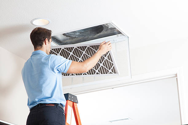Best HVAC tune-up services  in Taylorvle, IL